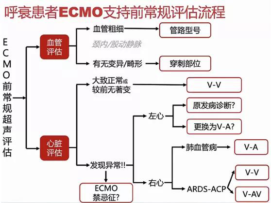 ECMO(專題三)(圖2) ECMO(專題三)(圖2)